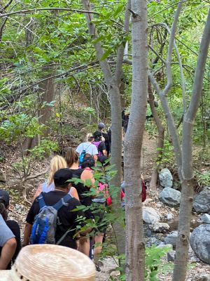 Holy Jim Falls Hike